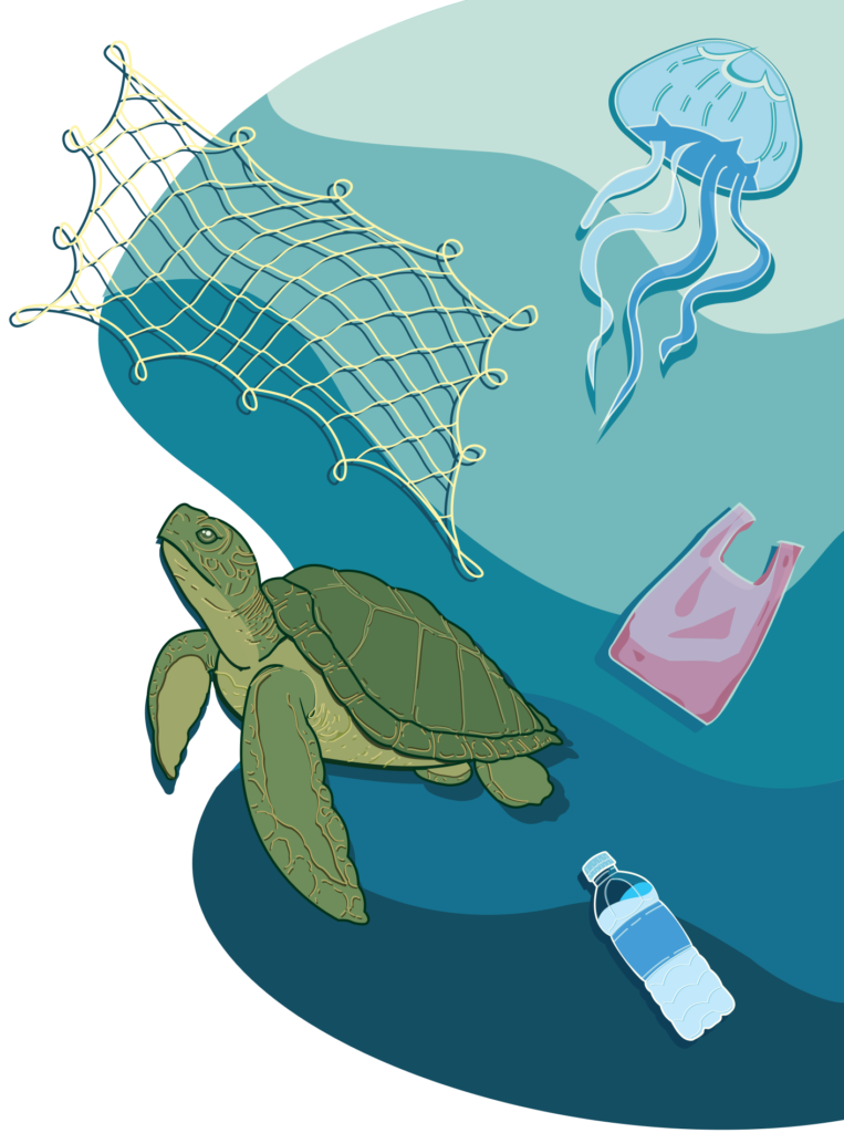 home page title ocean site